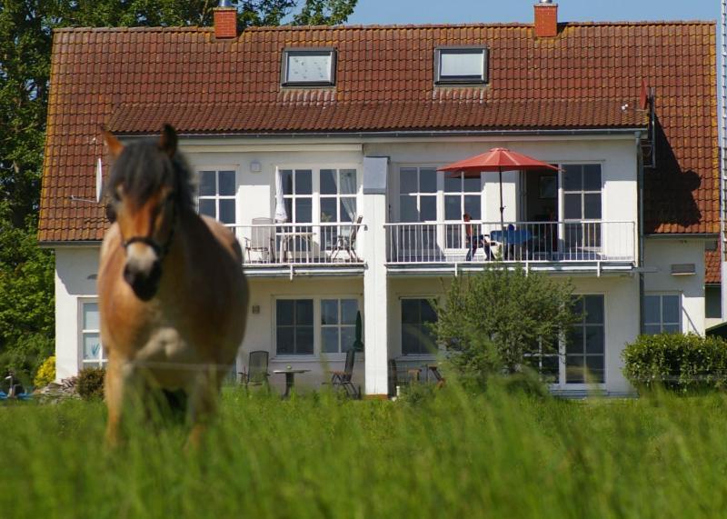 Ferienwohnung Boddenblick Zudar Esterno foto